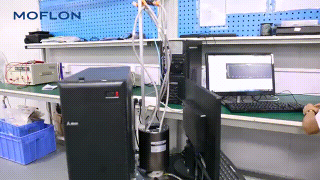 Wjhyԇ